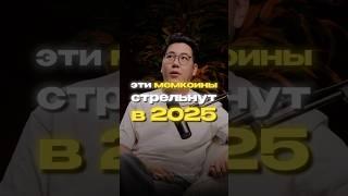 Эти мемы дадут х20-х40 в 2025-ом #мемкоины #крипта #крипта2025