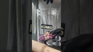 Kürbis fermentieren