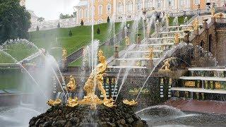 БЕЛЙОДОБРОМ Санкт Петербург 2019 видеограф Вадим Милованов
