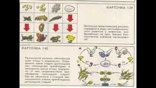 Карточки А.М. Розенштейна (Общая биология).AVI