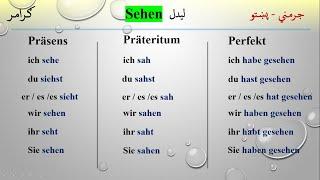 Verb sehen Grammatik (L-57) لیدل