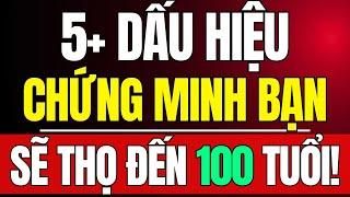  Sức Khỏe Người Cao Tuổi: 8 DẤU HIỆU VÀNG Cho Thấy Bạn Sẽ SỐNG THỌ 100+! (Sức Sống Vàng)