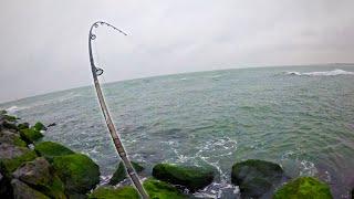 EVERYTHING was Biting on the Jetty!!! NJ Surfcasting!