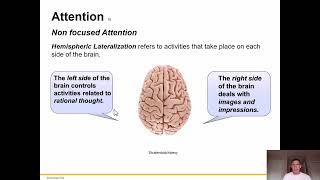Perception