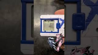 Digi Vlog 3 Cho Hakkaimon #digimon #shorts #vlog