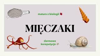 #26 Mięczaki - małże, ślimaki, głowonogi - budowa, charakterystyka  biologia rozszerzona do matury