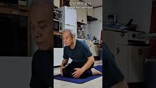 노년 취미요가 ( 179 ) #yoga for seniors #shorts