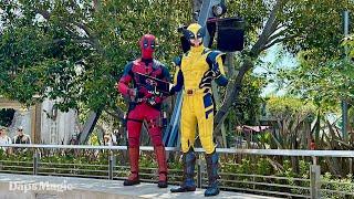 Beautypool | Deadpool & Wolverine | Avengers Campus | Disneyland Resort 2024