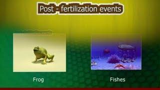 Post Fertilization Events | AIPMT Preparation Video