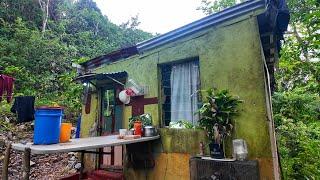 I VISITED OUR HOME MY FAMILY GREW UP IN JAMAICA 