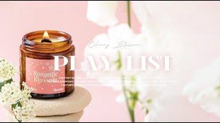 벚꽃 보러 갈래요? ​ 봄처럼 화사한 플레이리스트 | 설레는 봄 드라이브 플리 | Spring Music Playlist