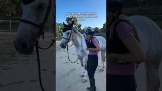 POV: that equestrian who’s always convinced their horse is crazy #horse #horsesaremylife #equestrian