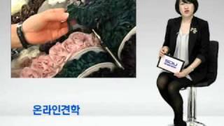 서울디지털대학교 패션미술학부 디지털패션전공
