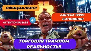 ОФИЦИАЛЬНО! ТОРГОВЛЯ ТРАМПОМ РЕАЛЬНОСТЬ!! СМОТРИМ НА ОПРОСЫ И СТАВКИ! АДРЕСА 1000+ БИТКОИНОВ РАСТУТ