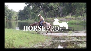 Horse Training Video: HORSEpro.tv with Cowhorse Trainer Robert Rivers Teaching Vertical Softness