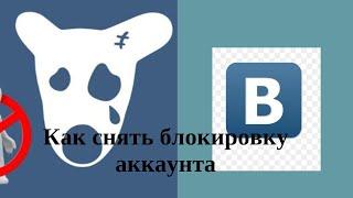 Заблокировали страницу в ВКонтакте, Что делать? Как разблокировать аккаунт в ВК