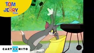 Tom ve Jerry | Oyunlar | Cartoonito Türkiye