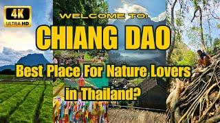 Northern Thailand's Best: CHIANG DAO (Hidden Villages, Jungle, Mountains, Cave, Hotsprings) เชียงดาว