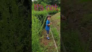Guerilla Potatoes