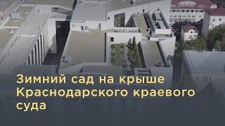 Зимний сад на крыше Краснодарского краевого суда