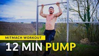 12 MIN FULL BODY WORKOUT (PRO & BEGINNER)