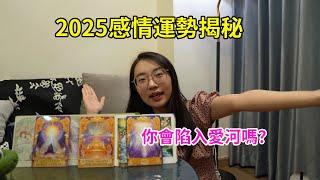 【塔羅占卜】2025年感情運勢揭秘！會遇到真愛嗎？結尾附贈許願環節！占卜｜塔羅占卜｜塔羅牌｜塔羅｜2025｜運勢｜曖昧｜愛情｜單身｜感情