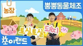 돼지 체조 | 토실토실 돼지송 | 뿡뿡동물체조 | 쪼이랜드 어린이 체조 | 인기동요