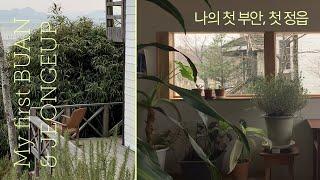 그냥 떠나서 마냥 걸은 부안 / 정읍 여행