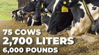 2,700 LITERS OF MILK PER DAY AT THE UNIVERSITY OF MARYLAND FARM, UNITED STATES 