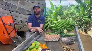 Farm To Table In NICARAGUA!! | Tour of OUR Harvest!!