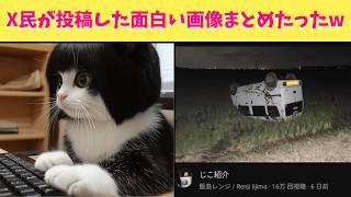 【爆笑】Xでバズった面白い画像いろいろまとめてみたら神動画になったから最後まで見てくれよな！！