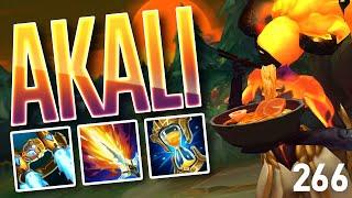 AKALI GAMING  ASSASSIN TIME | Nemesis