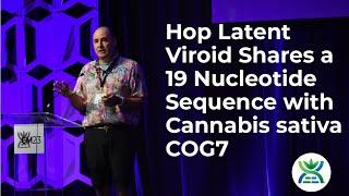 Hop Latent Viroid Shares a 19 Nucleotide Sequence with Cannabis sativa COG7 - Kevin McKernan