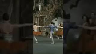 НУРЕЕВ