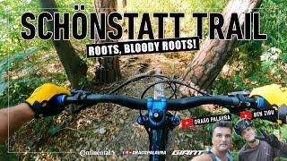 SCHÖNSTATT TRAIL | Roots Bloody Roots | Drago Palavra