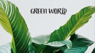 GREEN WORLD - AN ANIMATED SHORT FILM BY INFO TECH TUTS