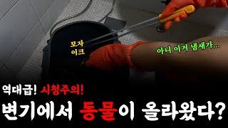 [시청주의] 역대급으로 정신 나갈 뻔!!! 배관에서 올라온 쥐? | 하수구 대마왕 