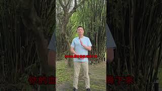 老功法新詮釋-站樁 #氣功 #站樁 #能量 #降血壓 #自癒 #王師兄 #悅氣 #站禪 #正念