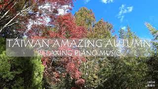 【TAIWAN】Cafe Music#AMAZING AUTUMN WITH SOOTHING RELAXING PIANO MUSIC