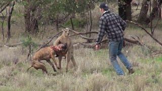 Street Roo-Jitsu vs. Sport Roo-Jitsu (Gracie Breakdown)