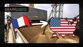 Why is the US Importing French Wheat??