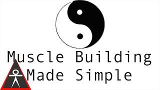 Muscle Building Made Simple