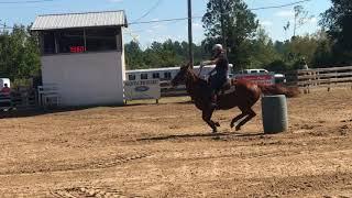 Haulin Easy and Owner and trainer Angel Rae Miller another successful weekend for this  team 2017
