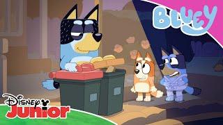 Bin Night | Bluey  | Disney Junior MENA