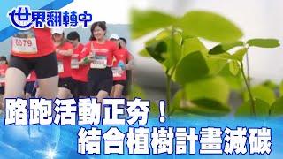 路跑活動正夯！ 結合植樹計畫減碳 【#世界翻轉中】20250615#運動#路跑#碳排