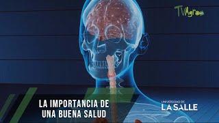 Importancia de una buena salud - TvAgro por Juan Gonzalo Angel Restrepo