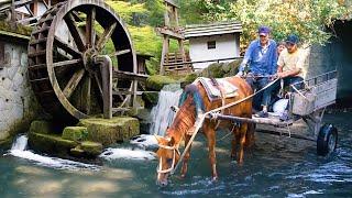 AZERBAIJAN Rural Life - Grandma and Grandpa's WONDERFUL Delicious Day