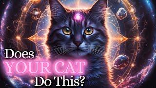 13 Signs YOUR CAT Is Spiritually PROTECTING You | Spiritual Awakening 