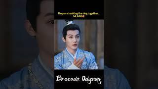 Cute couple!| Brocade Odyssey | YOUKU