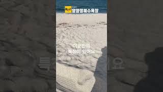 울진 망양정 해수욕장 :: 울진SNS홍보단 :: 울진군청